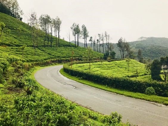 Upper Nilgiris_2