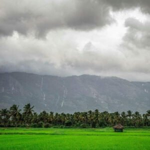 Top 5 Tourist Places in Palakkad