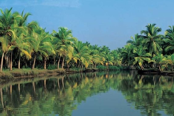 Tourist Places in Alleppey_8