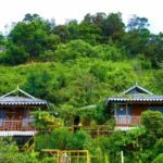 14 Jungle Resorts in Kodaikanal