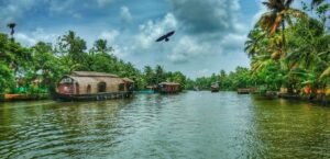 9 Best Place to Stay in Alappuzha for a Perfect Getaway