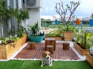 14 Small Terrace Garden Design Ideas for Cozy Spaces