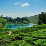 Best Places to Visit in Ernakulam Within 100 Kms