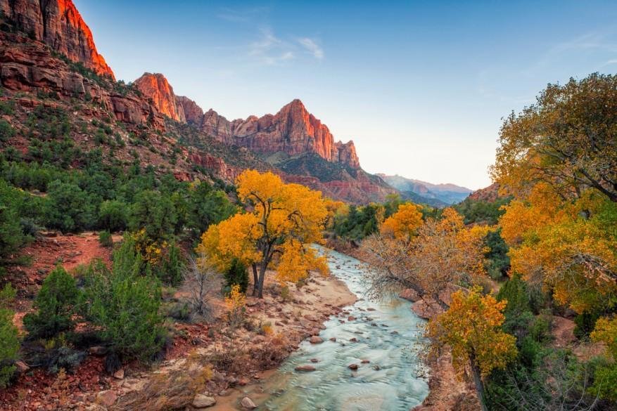 Golden autumn foliage surrounding scenic cliffs in National Park, Utah.