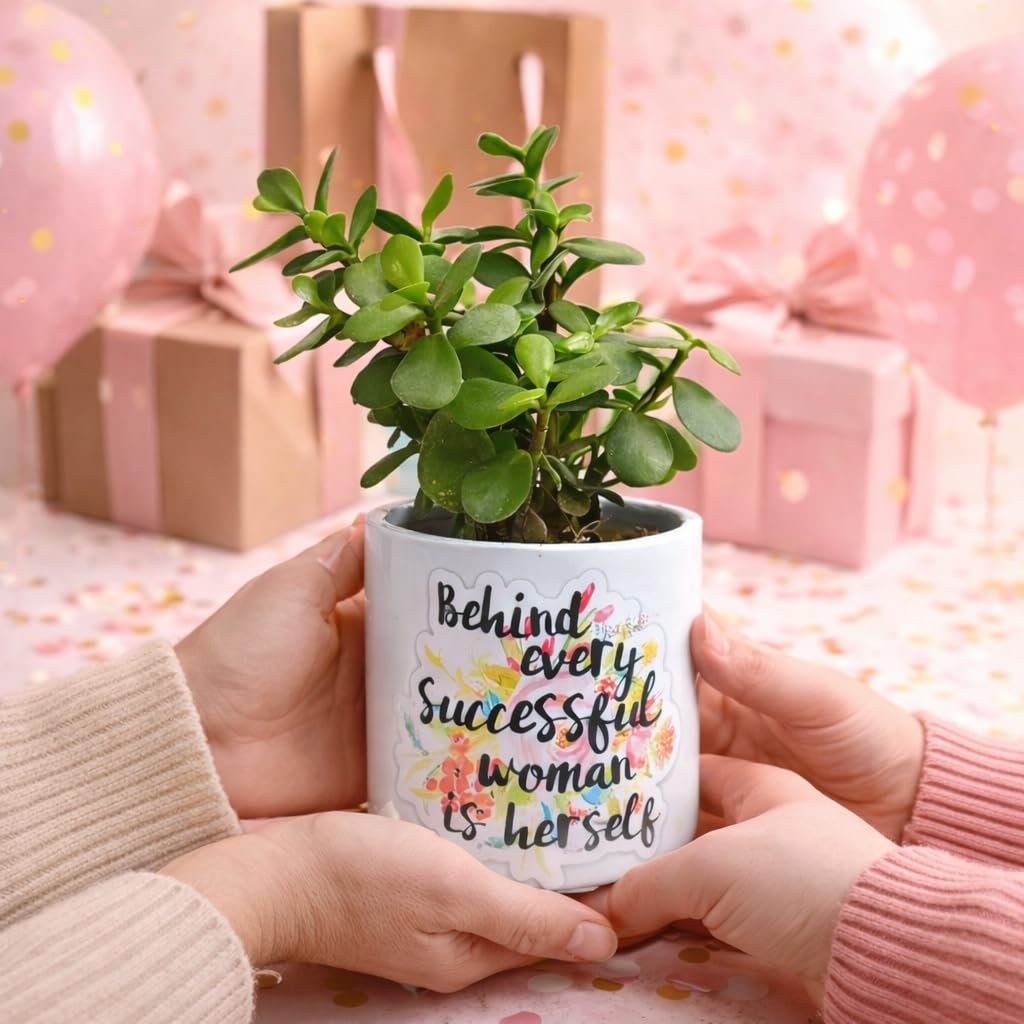 Indoor plants as Women's Day gifts